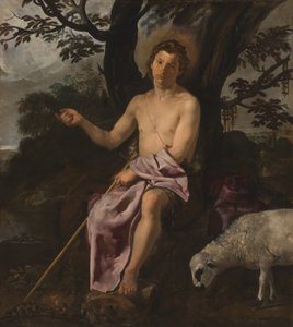 Sint Johannes de Doper in de wildernis