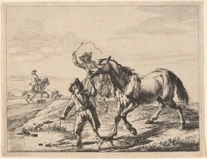 Een jongen brengt een paard te drinken