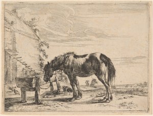 Een Paard Gebonden aan een Voederbak door Dirck Stoop