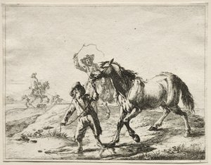 Een jongen brengt een paard naar het water