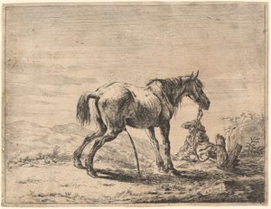 Steigerend paard bij een stal