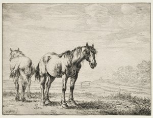 Twee ploegpaarden
