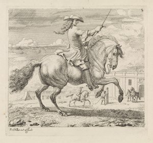 Ruiter naar rechts bij een manege