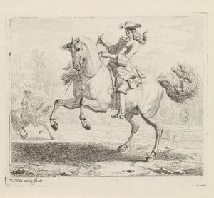 Steigerend paard met ruiter