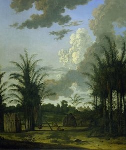 Plantage in Suriname