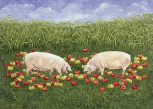 Appelzaaiers door Ditz