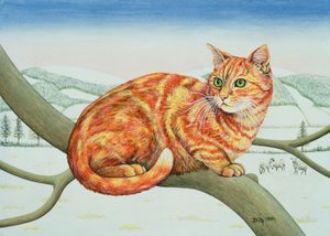Kale Takken, Nr.1, 1994