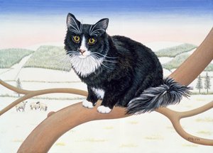 Kale Takken, Nr.2, 1994