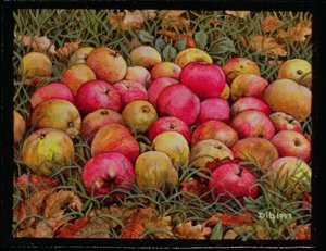 Durnitzhofer Appels, 1993