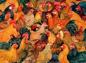 Fijne Gevogelte