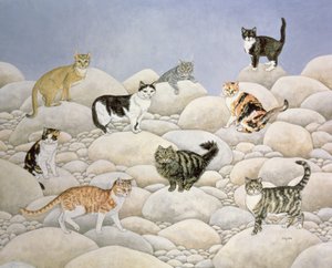 Lynn Valley-katten door Ditz