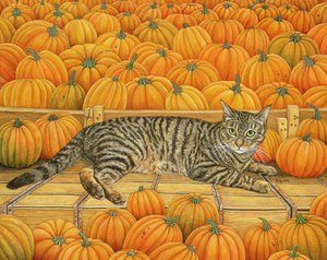 De Pompoen-Kat, 1995