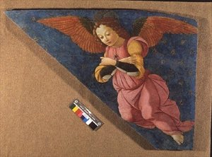 Engel (paneel)