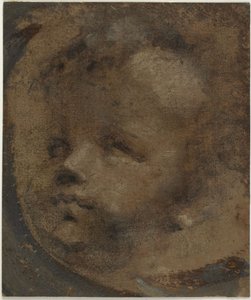 Hoofd van een putto door Domenico Beccafumi