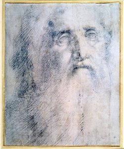 Studie van het hoofd van een oude man met een baard, c1535 door Domenico Beccafumi
