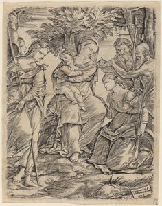De Maagd en Kind met Heiligen door Domenico Campagnola