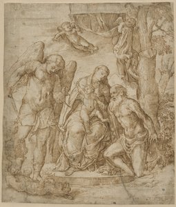 De Maagd en het Kind met de heiligen Michael en Jerome door Domenico Campagnola