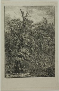Grote boom door Domenico Quaglio