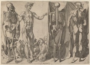 Skeletten en ontvelde lichamen door Domenico del Barbiere