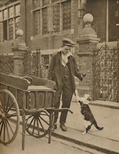 Een van de best gevestigde beroepen: Een klant en de kattenvleesman, ca. 1935 door Donald McLeish