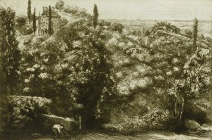 Avondschaduwen door Donald Shaw MacLaughlan