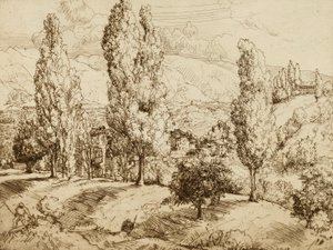 Velden van Asolo door Donald Shaw MacLaughlan