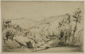 Velden van San Gimignano door Donald Shaw MacLaughlan