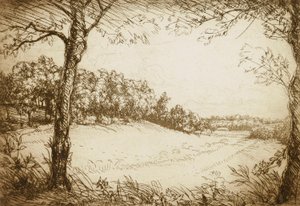 Zomerochtend in Tennessee door Donald Shaw MacLaughlan