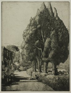 Het cipressenbos door Donald Shaw MacLaughlan