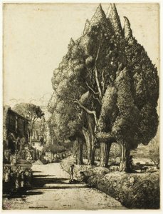 Het Cipressenbos door Donald Shaw MacLaughlan