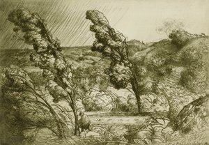 De storm