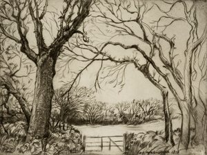 Tragenna Hout door Donald Shaw MacLaughlan