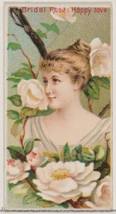 Bridal Roos: Gelukkige Liefde, uit de serie Floral Beauties and Language of Flowers door Donaldson Brothers