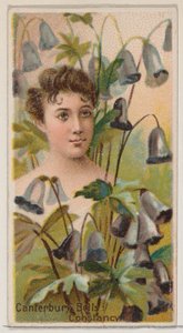Canterbury Bells: Standvastigheid, uit de serie Floral Beauties and Language of Flowers N75 door Donaldson Brothers