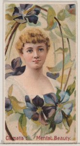 Clematis: Mentale schoonheid, uit de serie Floral Beauties and Language of Flowers N75, 1892 door Donaldson Brothers