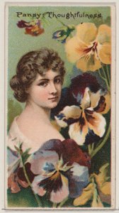Viooltje: Bedachtzaamheid, uit de serie Floral Beauties and Language of Flowers N75 voor D..., 1892 door Donaldson Brothers