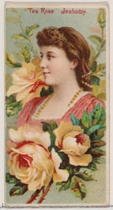 Theeroos: Jaloezie, uit de serie Bloemschoonheden en Taal van Bloemen N75 voor Duke, 1892