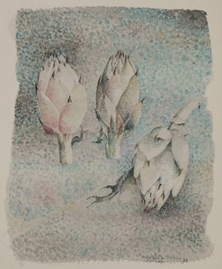 Artisjokken door Donatella Merlo