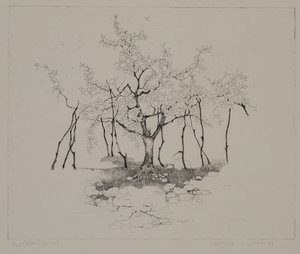 De appelboom door Donatella Merlo