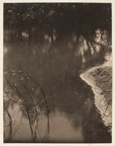 Studie van bomen weerspiegeld in water, ca. 1925-34
