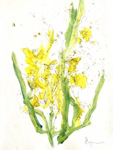 Felgele bloemen