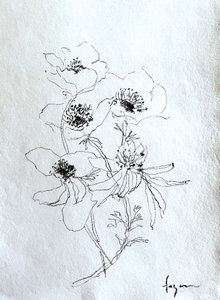 Verfijnde bloemenschets door Dorothy Fagan