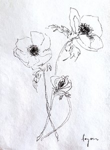 Fijne bloemenschets door Dorothy Fagan