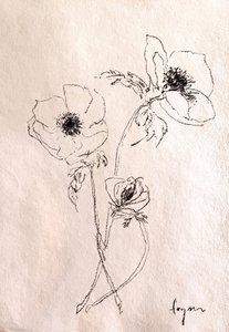 Minimalistische bloemtekening door Dorothy Fagan