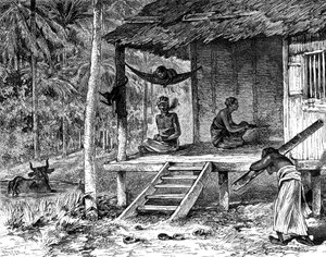 Maleisische hut