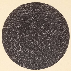 Microfotografie van dwarsdoorsnede van hout (Salisburia) door Dr. Arthur Durham