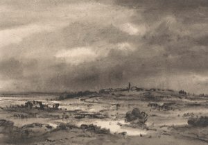 Compositie: Moeraslandschap