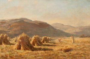 Oogsten bij Dumyat, Ochil Hills door Duncan Cameron