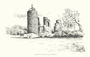 Ruïnes van Brambletye House
