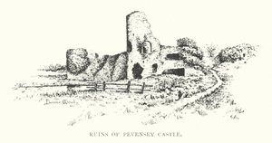 Ruïnes van Pevensey Castle door Duncan Moul